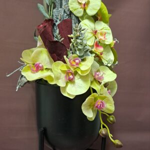 Composizione con orchidee Phalenopsis