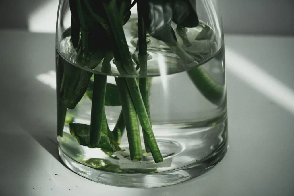 Steli di fiori recisi in un vaso di vetro con acqua pulita